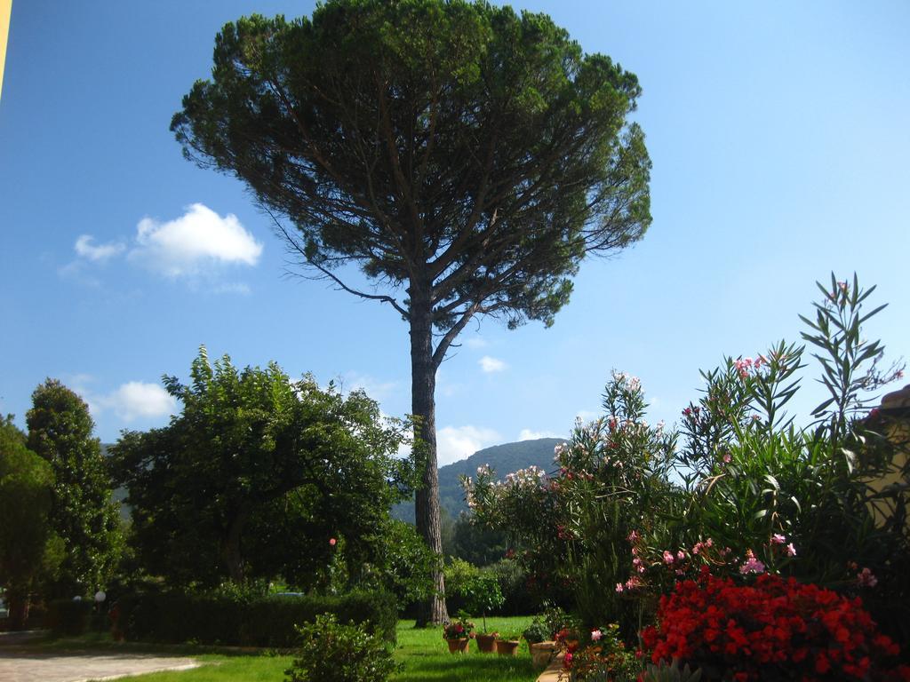B&B Villa Pardi Lucca Exterior photo